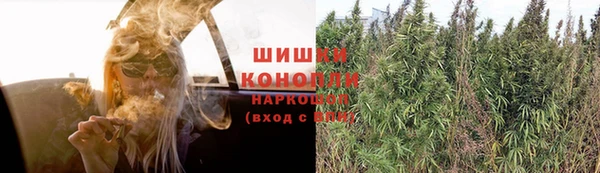 прущие крисы Беломорск